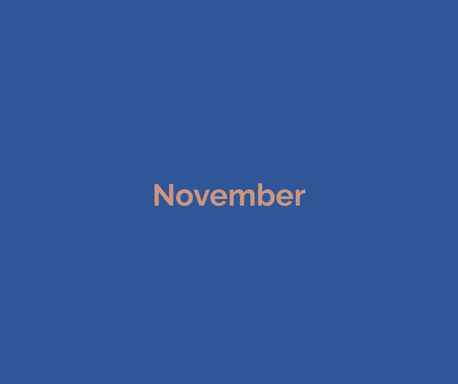constantiaberg-business-of-the-month-placeholder-11-nov